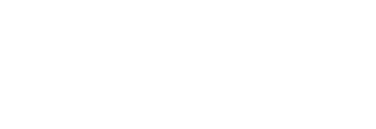 Biznet White copy